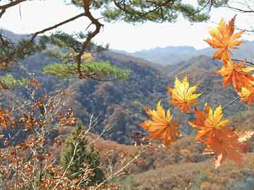 乐山旅游攻略，海滨魅力深度探索