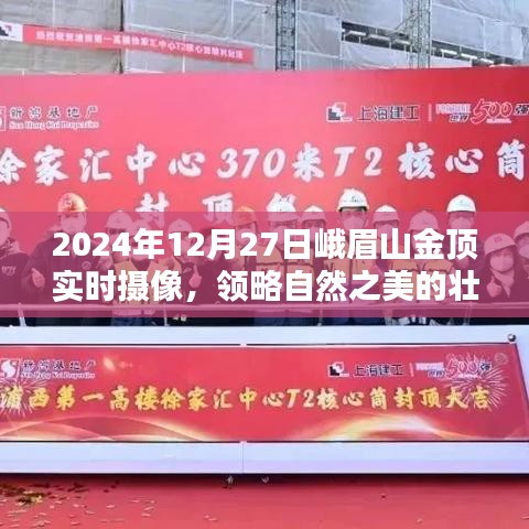 棒打出头鸟 第2页