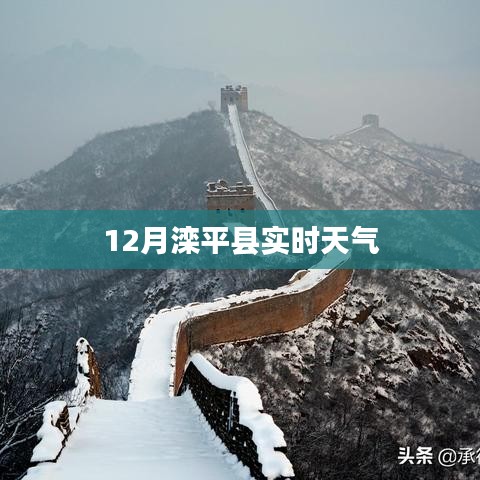 鸢飞鱼跃 第2页