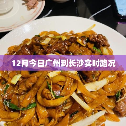 公司简介 第92页