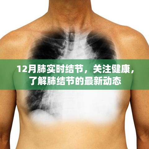 关注健康，12月肺实时结节最新动态解读