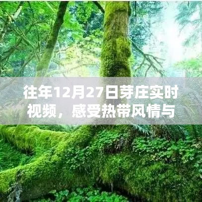 成功案例 第87页