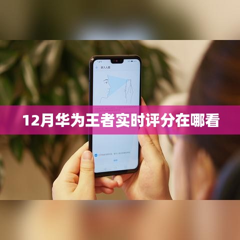 华为王者实时评分查询攻略