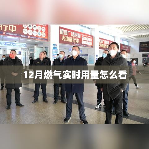 12月燃气用量实时查看攻略