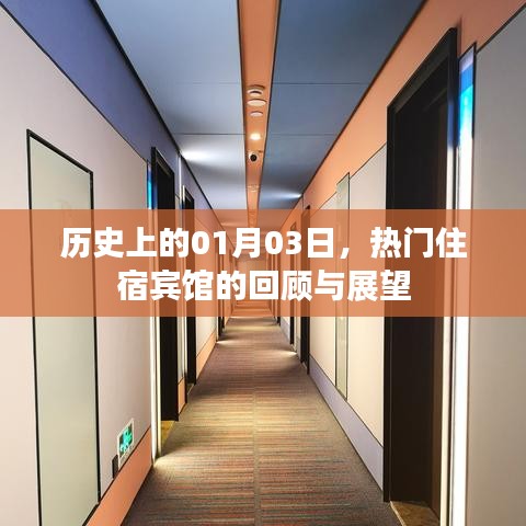 热门住宿宾馆发展史，回顾历程与展望未来
