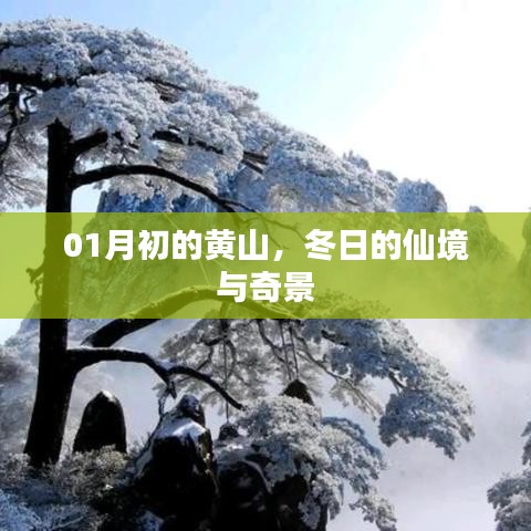 鸟面鹄形 第2页