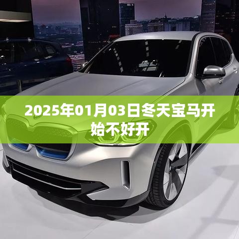 纲举目张 第2页