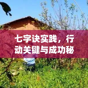 七字诀实践，行动关键与成功秘诀
