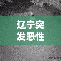 郑重其事 第2页