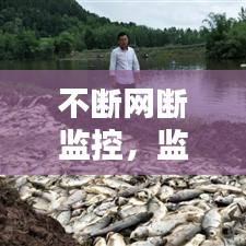 轻飞曼舞 第2页