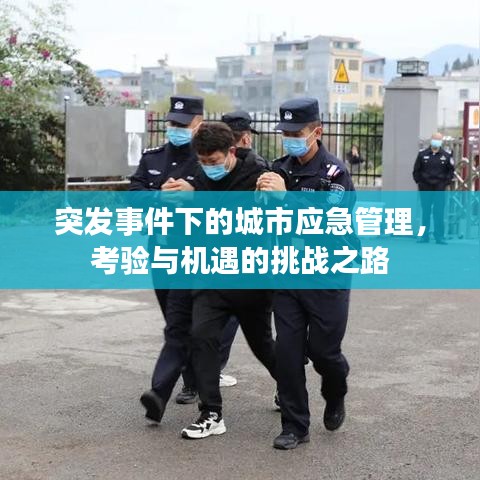 突发事件下的城市应急管理，考验与机遇的挑战之路