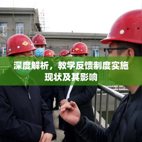 深度解析，教学反馈制度实施现状及其影响
