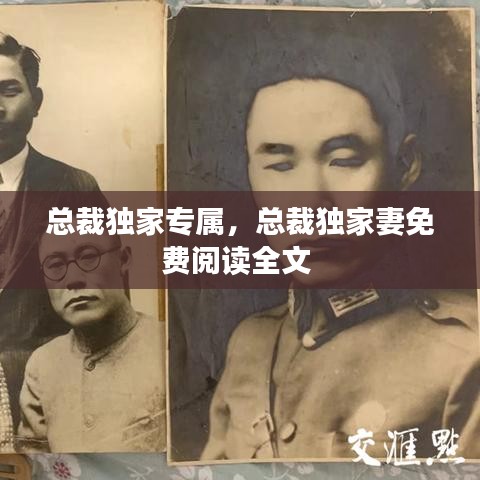 总裁独家专属，总裁独家妻免费阅读全文