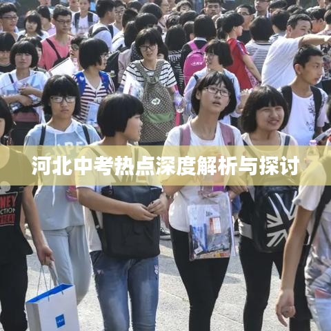 河北中考热点深度解析与探讨