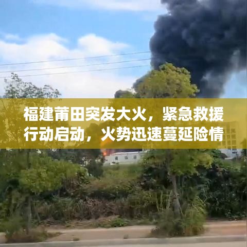 福建莆田突发大火，紧急救援行动启动，火势迅速蔓延险情紧急