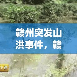 赣州突发山洪事件，赣州刚刚发生的事