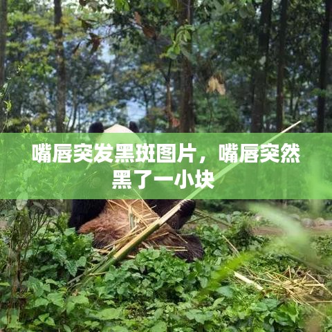 嘴唇突发黑斑图片，嘴唇突然黑了一小块