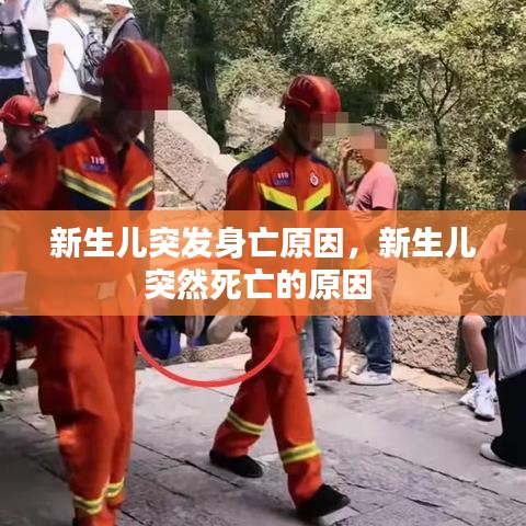 新生儿突发身亡原因，新生儿突然死亡的原因