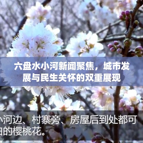 六盘水小河新闻动态，城市发展与民生关怀同步展现