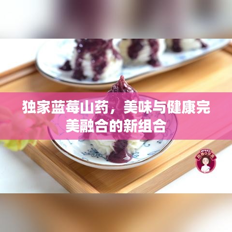 独家蓝莓山药，美味与健康完美融合的新组合