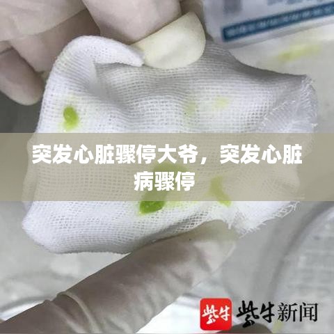 突发心脏骤停大爷，突发心脏病骤停 