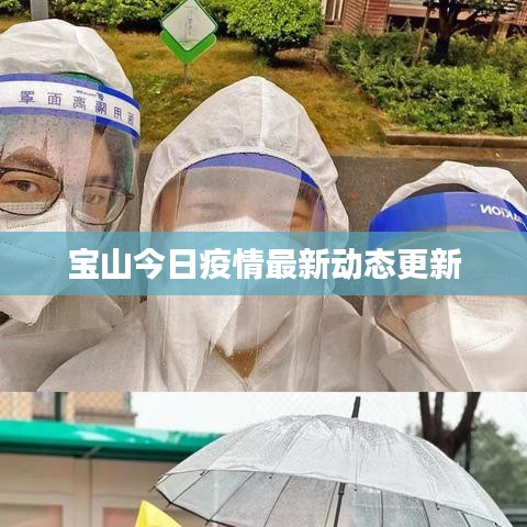 宝山今日疫情最新动态更新