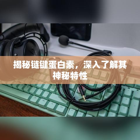 揭秘链键蛋白素，深入了解其神秘特性