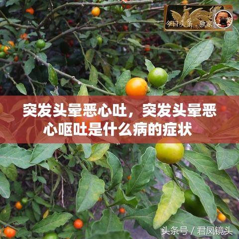 突发头晕恶心吐，突发头晕恶心呕吐是什么病的症状 