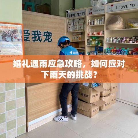 婚礼遇雨应急攻略，如何应对下雨天的挑战？