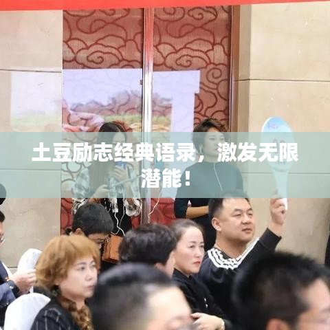 土豆励志经典语录，激发无限潜能！