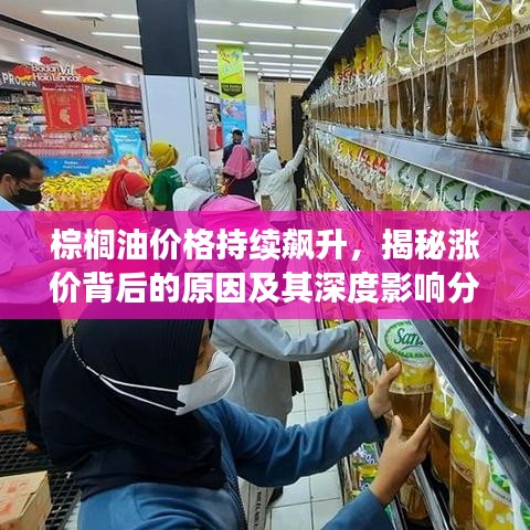 棕榈油价格持续飙升，揭秘涨价背后的原因及其深度影响分析