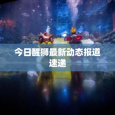 今日醒狮最新动态报道速递