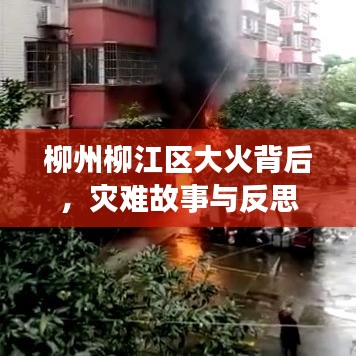 沉鱼落雁 第2页