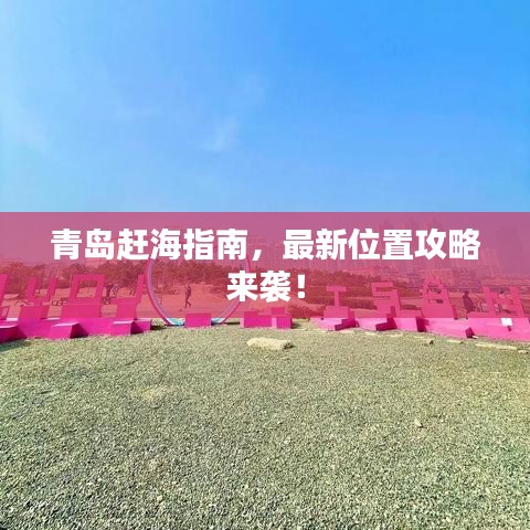 青岛赶海指南，最新位置攻略来袭！