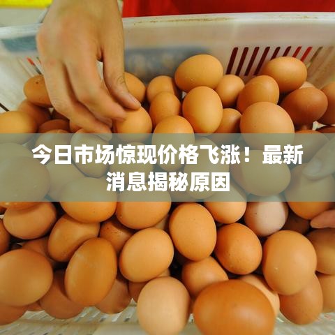 今日市场惊现价格飞涨！最新消息揭秘原因