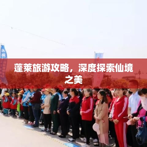公司简介 第54页