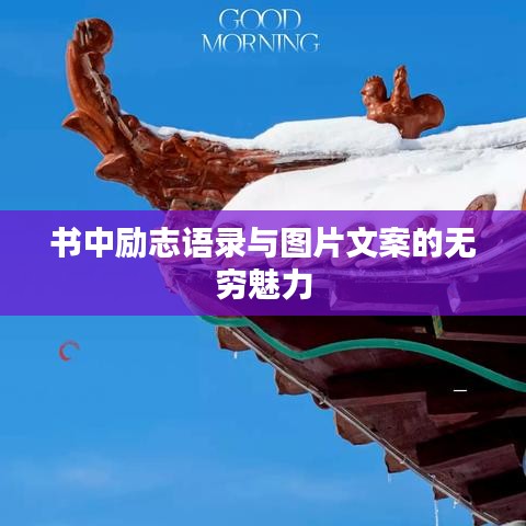 书中励志语录与图片文案的无穷魅力