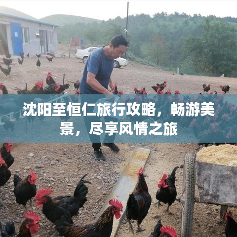 沈阳至恒仁旅行攻略，畅游美景，尽享风情之旅