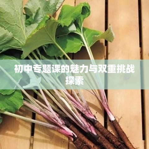 初中专题课的魅力与双重挑战探索