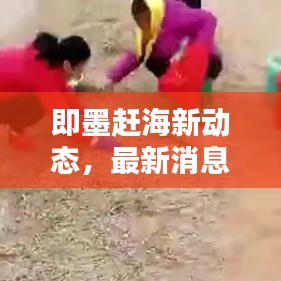 即墨赶海新动态，最新消息一网打尽！
