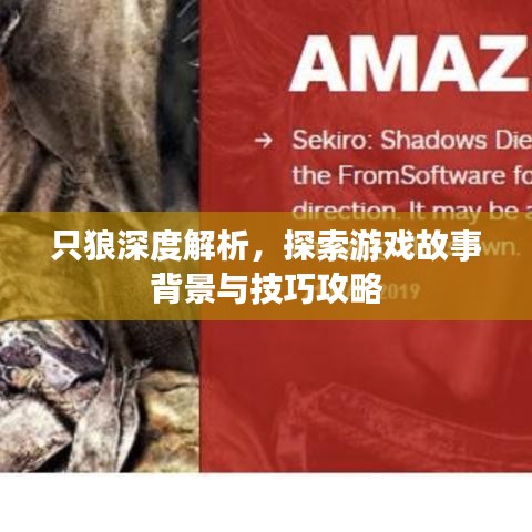 只狼深度解析，探索游戏故事背景与技巧攻略