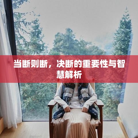 当断则断，决断的重要性与智慧解析