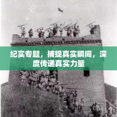 纪实专题，捕捉真实瞬间，深度传递真实力量