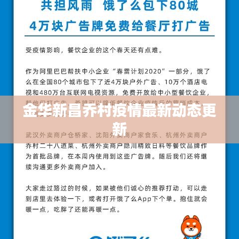 金华新昌乔村疫情最新动态更新