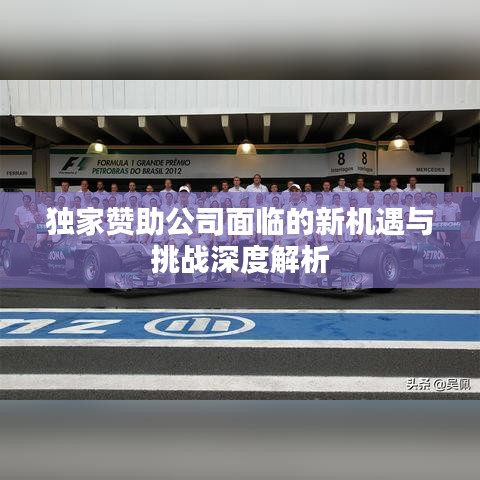 独家赞助公司面临的新机遇与挑战深度解析