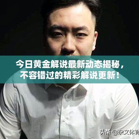 今日黄金解说最新动态揭秘，不容错过的精彩解说更新！