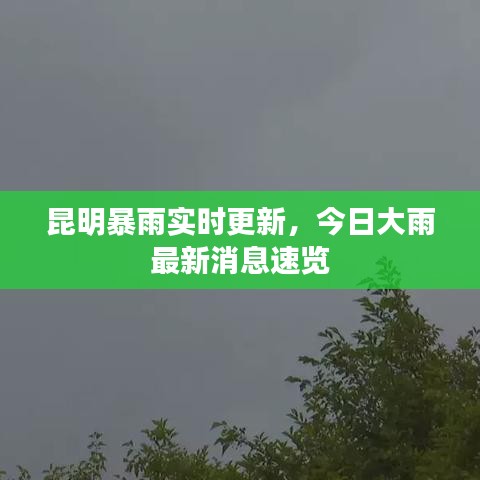昆明暴雨实时更新，今日大雨最新消息速览