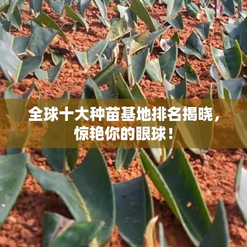 全球十大种苗基地排名揭晓，惊艳你的眼球！