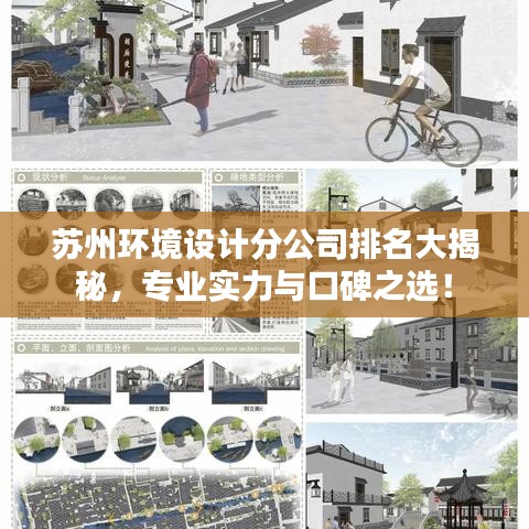 苏州环境设计分公司排名大揭秘，专业实力与口碑之选！