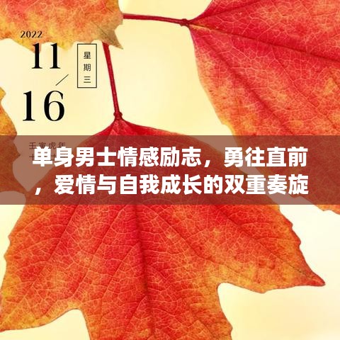 单身男士情感励志，勇往直前，爱情与自我成长的双重奏旋律